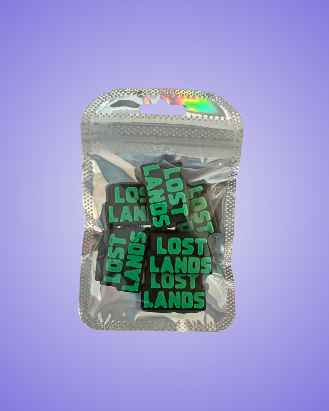 Lost Lands Inspired Charms