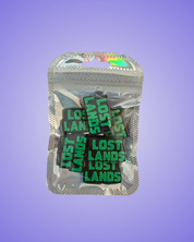 Lost Lands Inspired Charms