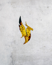 The Phoenix Emblem ( Illienium inspired )