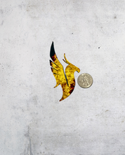 The Phoenix Emblem ( Illienium inspired )